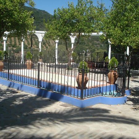 منزل الضيف بيناماهوما  في Casa La Rosa P.N. Sierra De Grazalema المظهر الخارجي الصورة