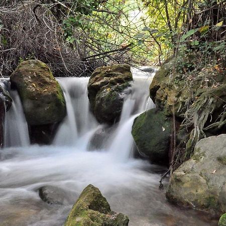 منزل الضيف بيناماهوما  في Casa La Rosa P.N. Sierra De Grazalema المظهر الخارجي الصورة