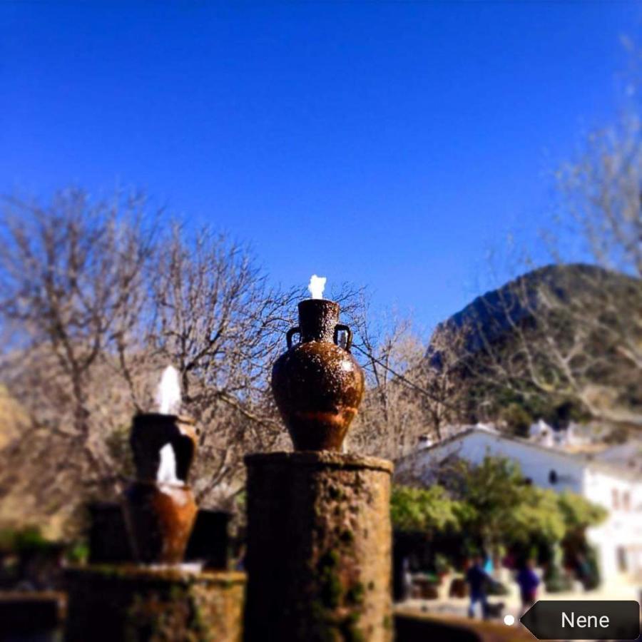 منزل الضيف بيناماهوما  في Casa La Rosa P.N. Sierra De Grazalema المظهر الخارجي الصورة