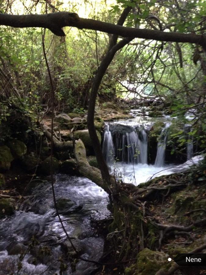 منزل الضيف بيناماهوما  في Casa La Rosa P.N. Sierra De Grazalema المظهر الخارجي الصورة